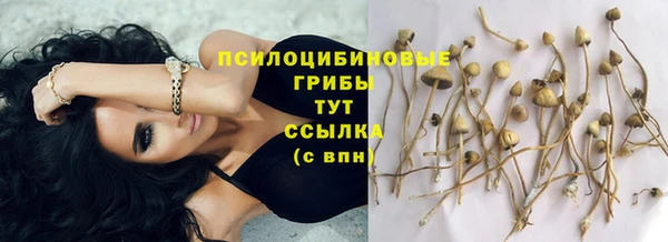 a pvp Медвежьегорск