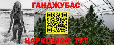 шишки Балашиха