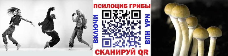 Галлюциногенные грибы мицелий Полысаево