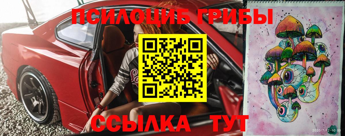 Псилоцибиновые грибы Cubensis  Полысаево  даркнет сайт  Псилоцибиновые грибы Cubensis 