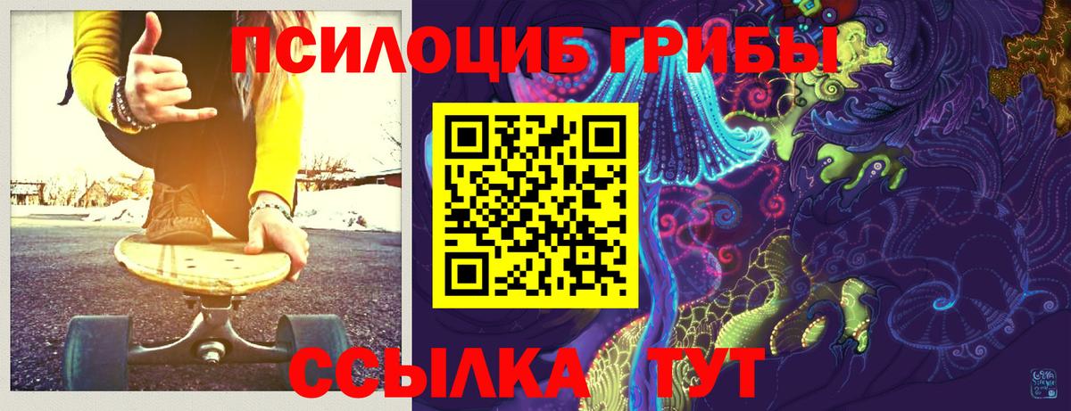 Псилоцибиновые грибы Cubensis  Вход с VPN  Псилоцибиновые грибы MAGIC MUSHROOMS  Полысаево 